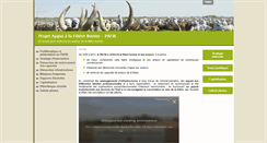 Desktop Screenshot of filiere-bovine-tchad.com