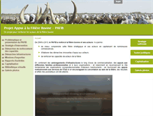 Tablet Screenshot of filiere-bovine-tchad.com